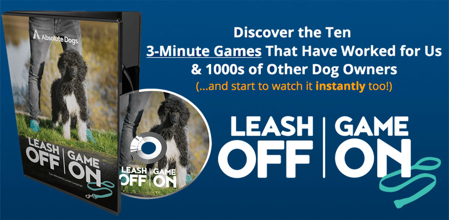 Order the Leash Off Game On DVD
