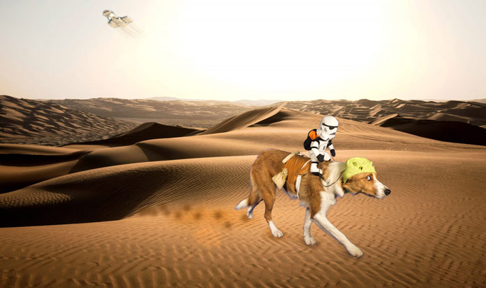 Ragamuffin as a dewback with stormtrooper rider