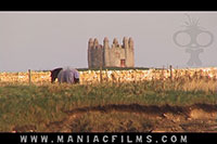 stock photography and video - click to enlarge
