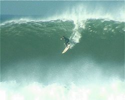 fistral sessions
