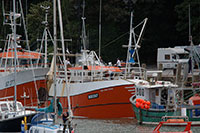 stock photography - click to enlarge