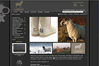 website design - click to enlarge