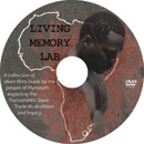 Living Memory Lab disk design