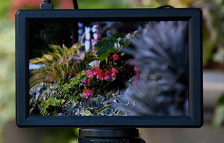 SmallHD 720P HDMI monitor