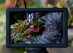 Small HD DP1x monitor