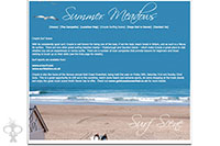 website design - click to enlarge