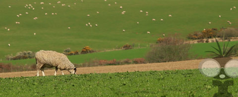 Spring scenics shot by Tim