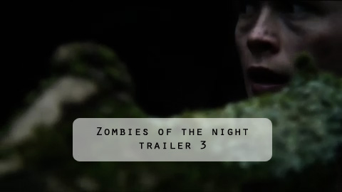 ZoTN Zombies of the night post production and grade work