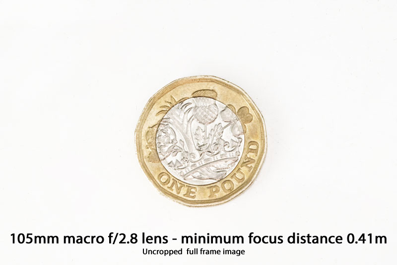 Micro-Nokkor 105mm macro example
