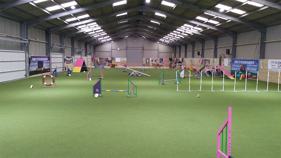 The upgraded training venue at Absolute Dogs