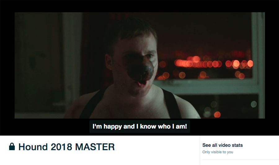 Captions from Hound being shown in Vimeo player