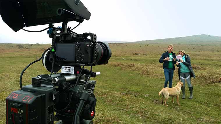 Advert & content filming for Absolute Dogs