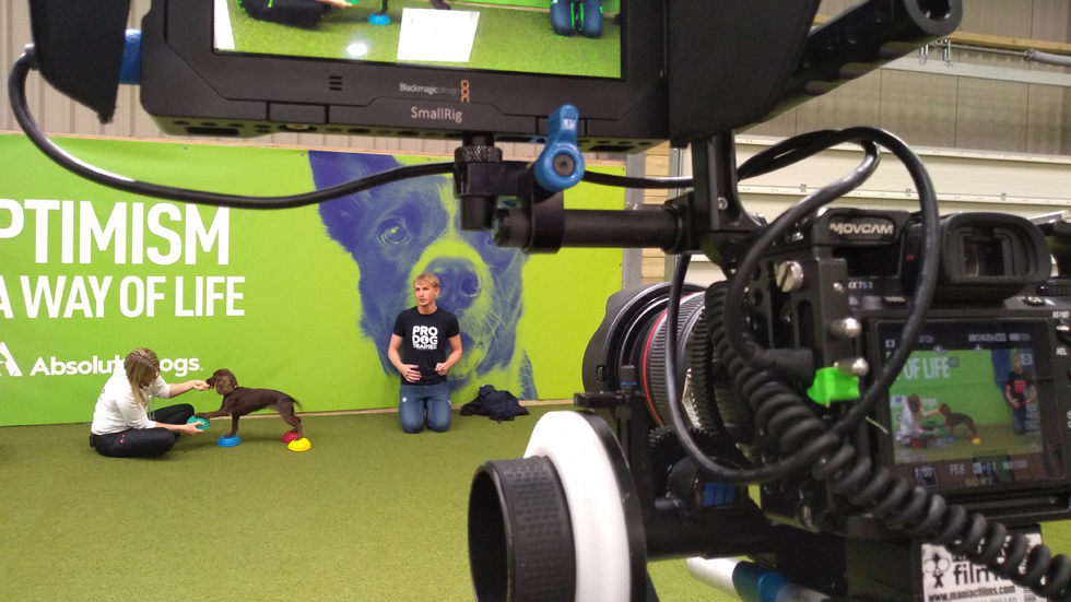 Training Academy filming for Absolute Dogs