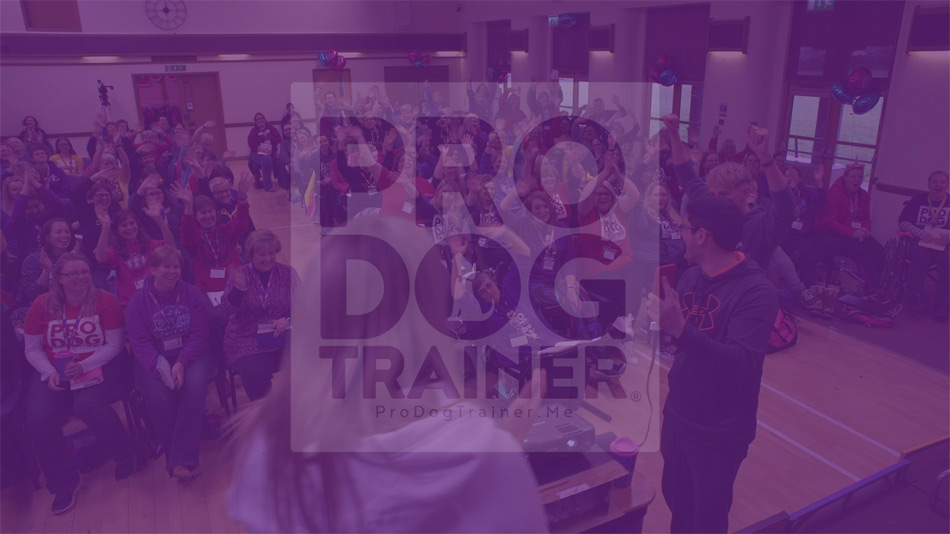 Post production for Pro Dog Trainer 2018 event