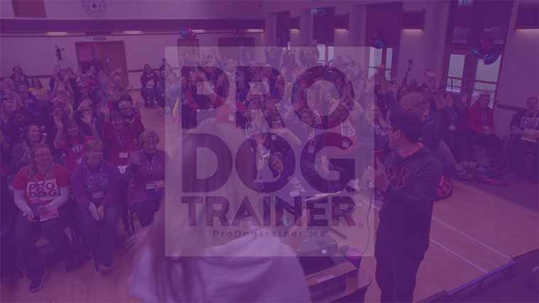 Post production for Pro Dog Trainer 2018 event