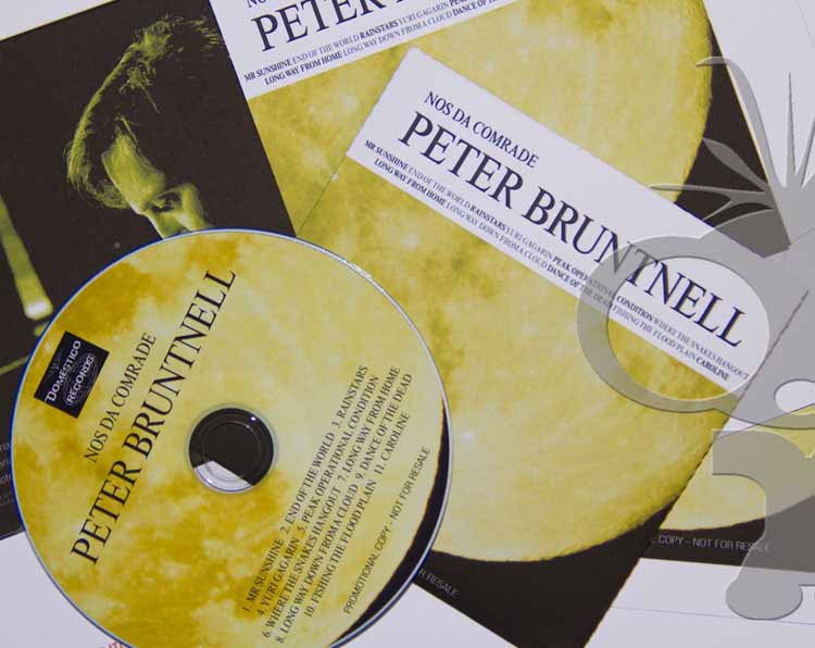 CD Duplication for Peter Bruntnell album Nos Da Comrade