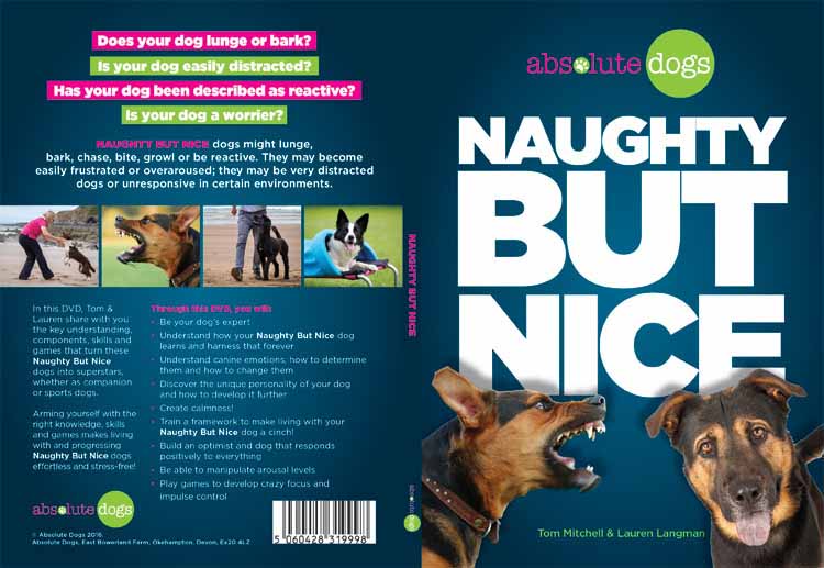 NTSC DVD Authoring & Replication for Absolute Dogs NTSC