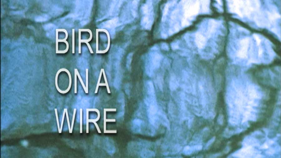 Captions for Tony Palmer Bird on a Wire Leonard Cohen film