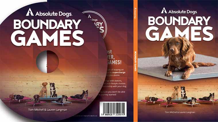 Boundary Games DVD Authoring & Replication for Absolute Dogs