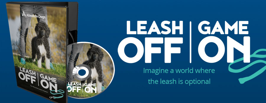 Leash off game on DVD has shipped over 13000 copies