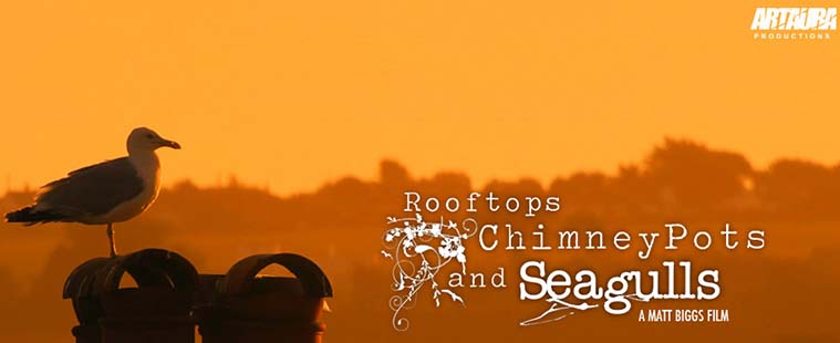 Artaura Productions website for Rooftops Chimney Pots & Seagulls goes live