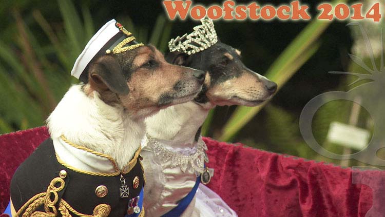 Event Coverage for K9 Focus Woofstock 2014 at Marwood Hill Gardens