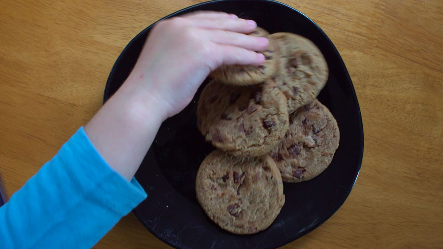 Chocolate Chip Cookie Orchestra 