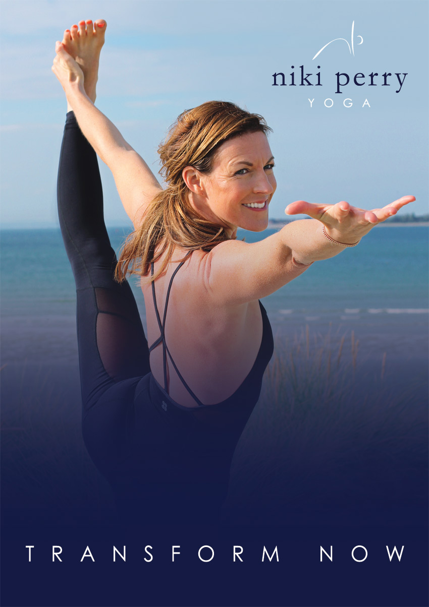 Niki Perry Transform Now DVD