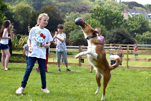 Ragamuffin catches a thrown rugby ball