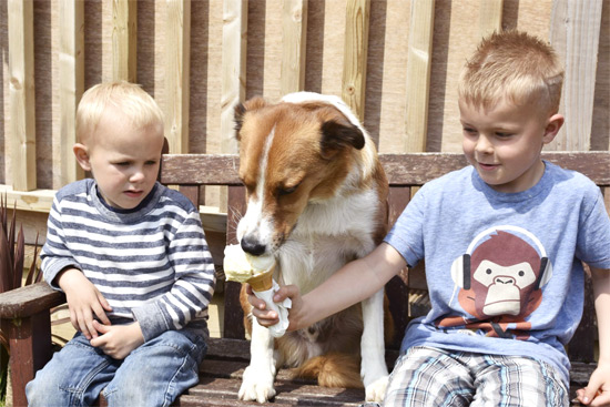 Ragamuffin & friends share an ice cream