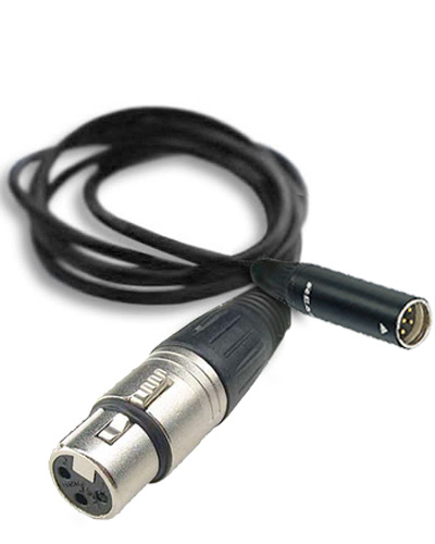  Female XLR - male mini XLR cable - 40cm  