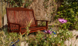 Cozy Knights front garden bench, Georgeham, North Devon