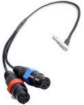  Alexa Mini Audio Cable - 2 XLR Female to 5-pin Lemo 